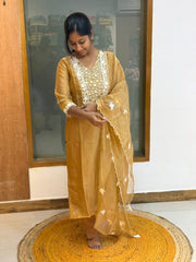 Dhanvantri 1050