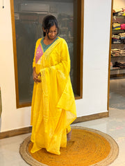 Mishra 746A